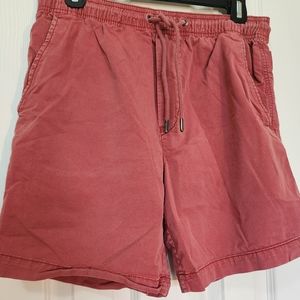 American Eagle Pull up Shorts